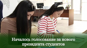 Началось голосование за нового президента студентов